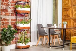 Biofilia - ter plantas em casa é bom