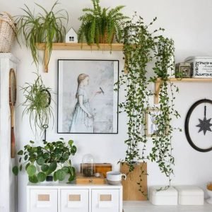 Biofilia - ter plantas em casa é bom